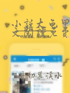 小说大龟甲师全文阅读免费