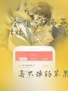 全职法师无删减txt