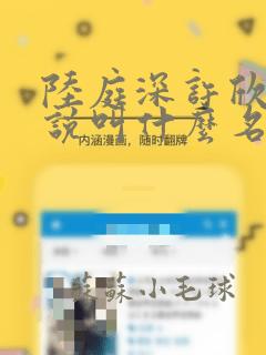 陆庭深许欣妍小说叫什么名字