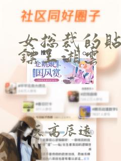 女总裁的贴身保镖王湘云