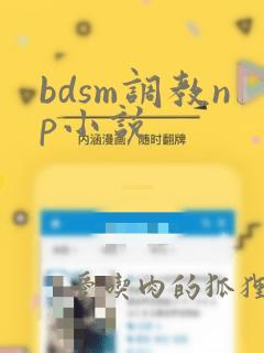 bdsm调教np小说