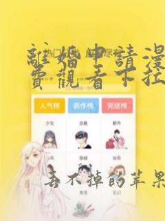 离婚申请漫画免费观看下拉式