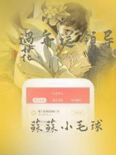 过年送领导什么花