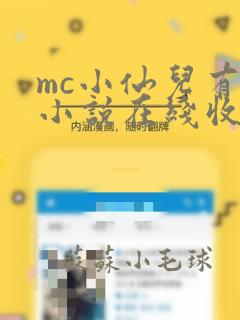 mc小仙儿有声小说在线收听