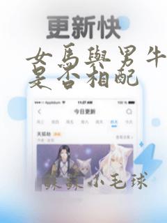 女马与男牛婚姻是否相配