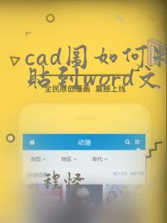 cad图如何粘贴到word文档