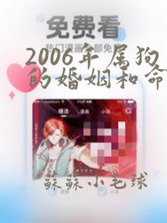 2006年属狗的婚姻和命运