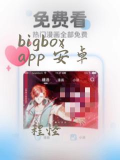 bigbox app 安卓