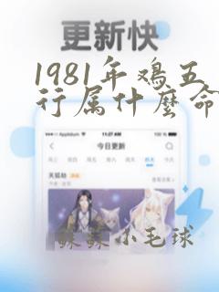 1981年鸡五行属什么命运呢