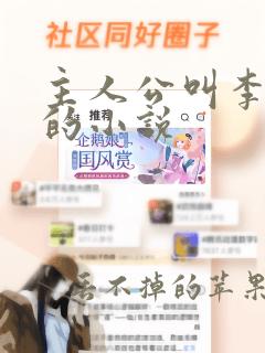 主人公叫李向南的小说