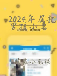 2024年属龙男孩小名