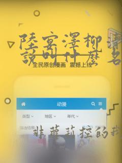 陆宴泽柳清欢小说叫什么名字