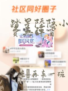 踏星陆隐小说免费无弹窗