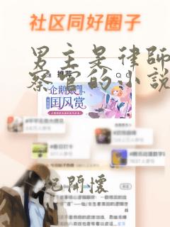 男主是律师或检察官的小说