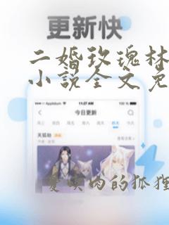 二婚玫瑰林淼月小说全文免费阅读