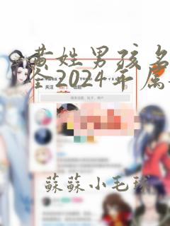 黄姓男孩名字大全2024年属龙