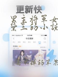 男主将军女主林黛玉的小说