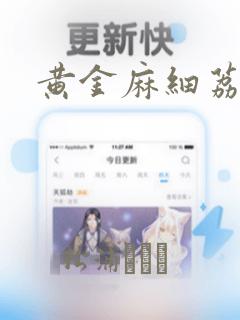 黄金麻细荔枝面