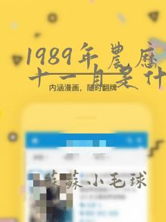 1989年农历十一月是什么命