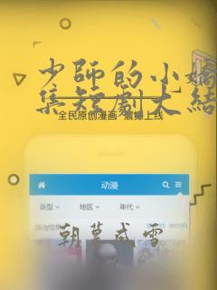 少师的小娇妻全集短剧大结局生孩子