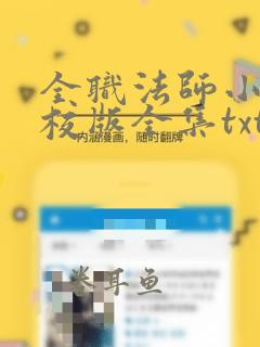 全职法师小说精校版全集txt