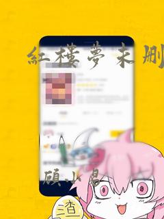 红楼梦未删减版