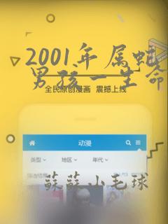 2001年属蛇男孩一生命运