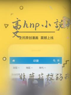 高hnp小说辣文