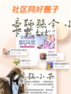 帝师县令 小说下载txt