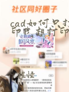 cad如何只打印我想打印的区域