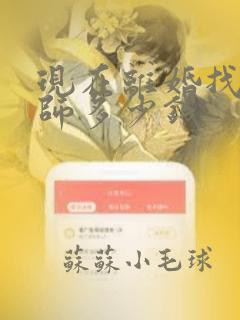 现在离婚找个律师多少钱