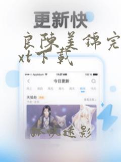 良陈美锦完本txt下载