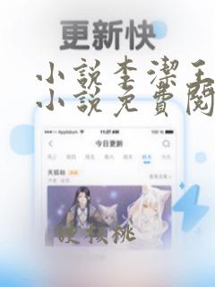 小说李洁王浩的小说免费阅读