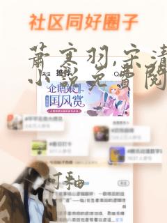 萧寒羽,宋清禾小说免费阅读