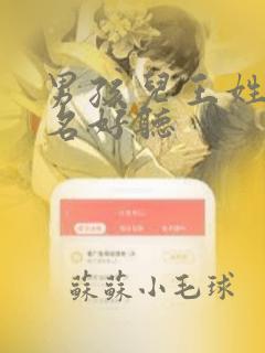 男孩儿王姓取啥名好听