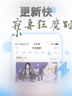 宠妻狂魔别太坏小