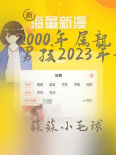 2000年属龙男孩2023年姻缘怎么样