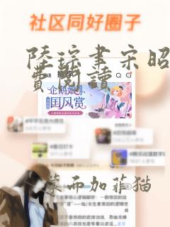 陆琮聿宋昭禾免费阅读