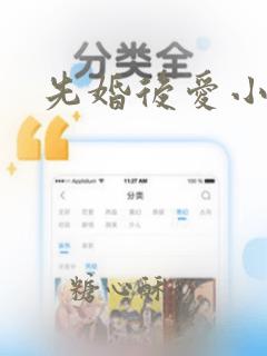 先婚后爱小说梦