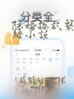 隐婚总裁系列完结小说