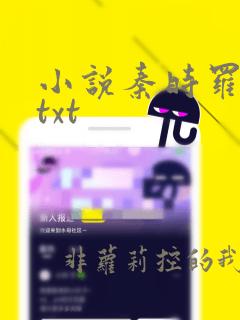 小说秦时罗网人txt