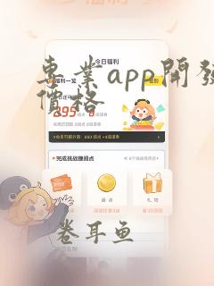 专业app开发价格