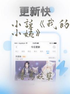 小说《我的极品小姨》