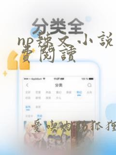 np辣文小说免费阅读