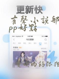 有声小说那个app好点