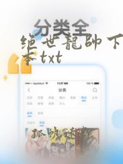 绝世龙帅下载全本txt