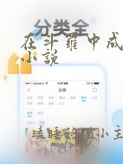 在斗罗中成神 小说