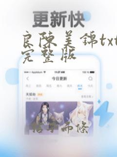 良陈美锦txt完整版