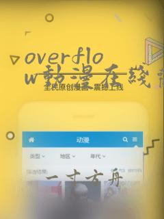 overflow动漫在线观看无删减