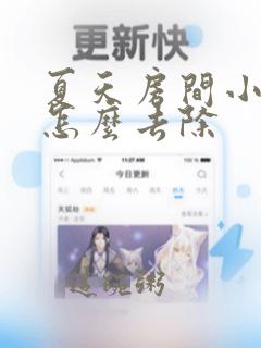 夏天房间小飞虫怎么去除